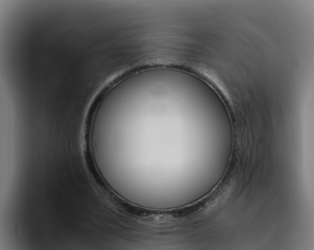 X0000094780395200711160854