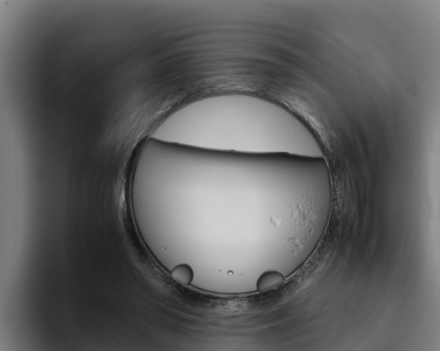 X0000094780398200711160854