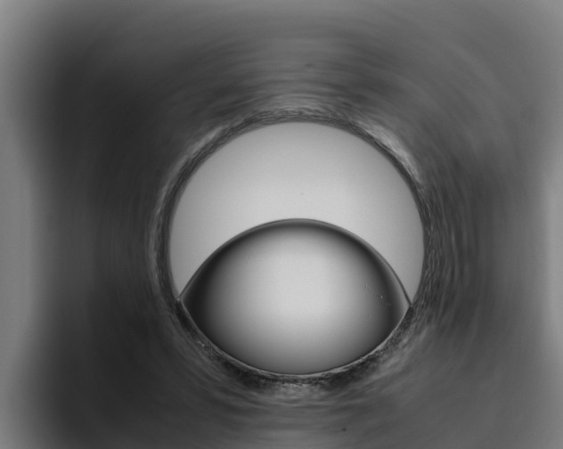 X0000094780399200711160854