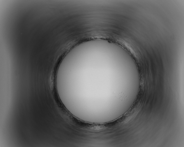 X0000094780402200711160854