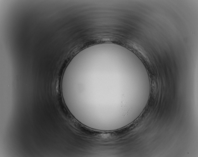 X0000094780406200711160854