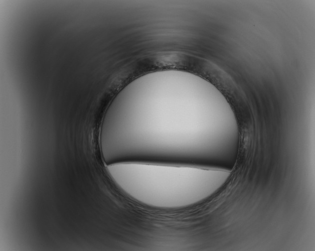 X0000094780408200711160854