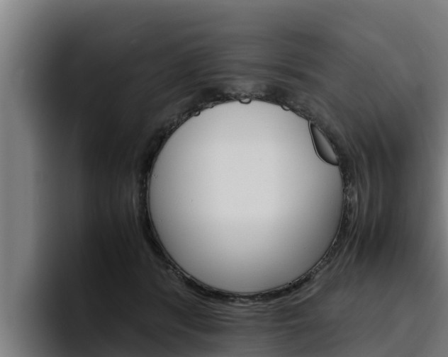 X0000094780416200711160854