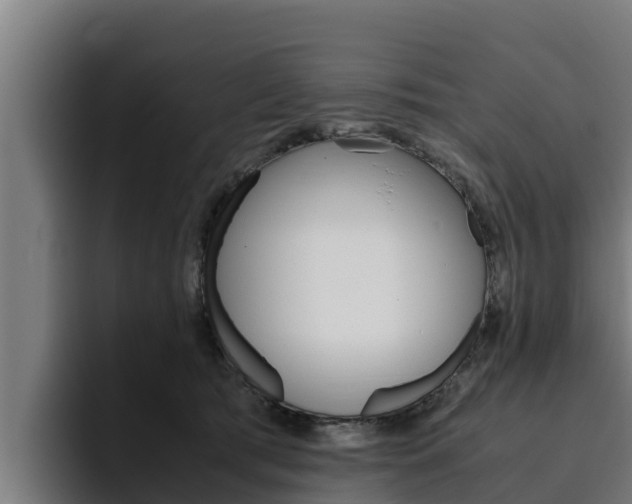 X0000094780417200711160854