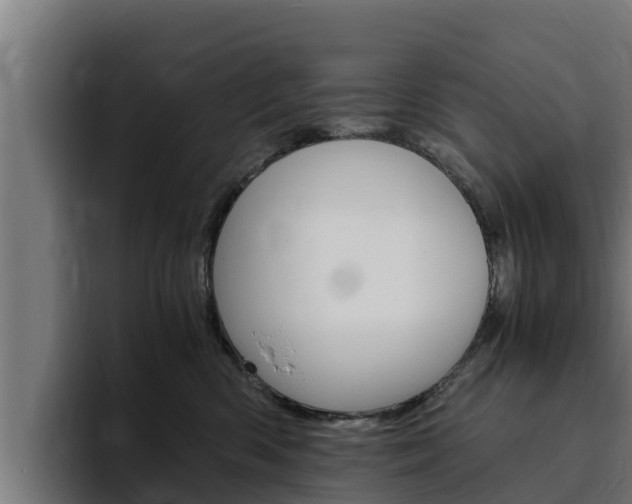 X0000094780426200711160854