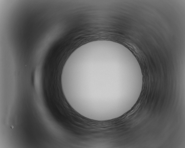 X0000094780429200711160854