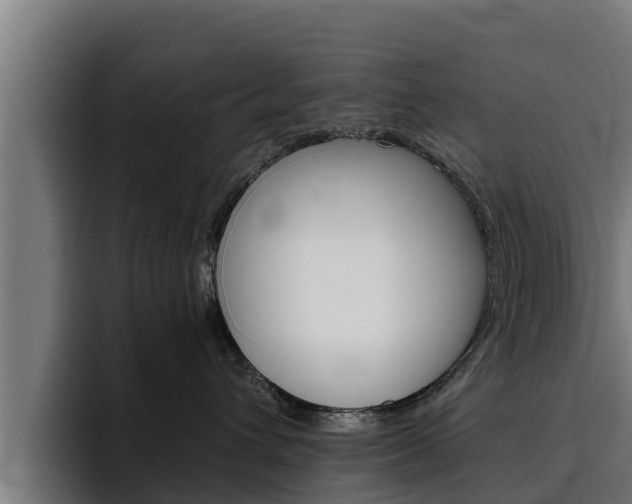 X0000094780432200711160854