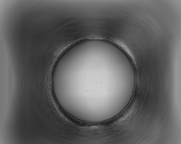 X0000094780433200711160853