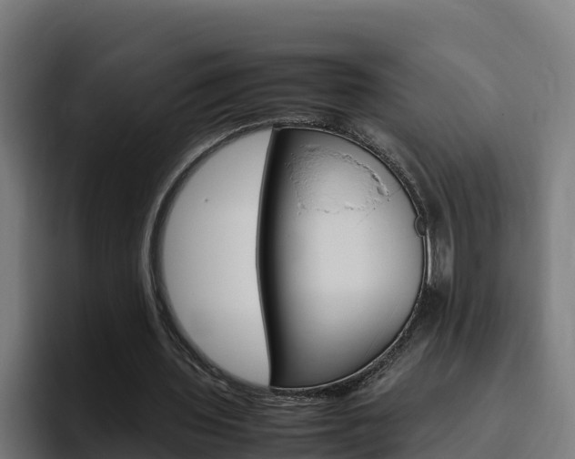X0000094780435200711160853
