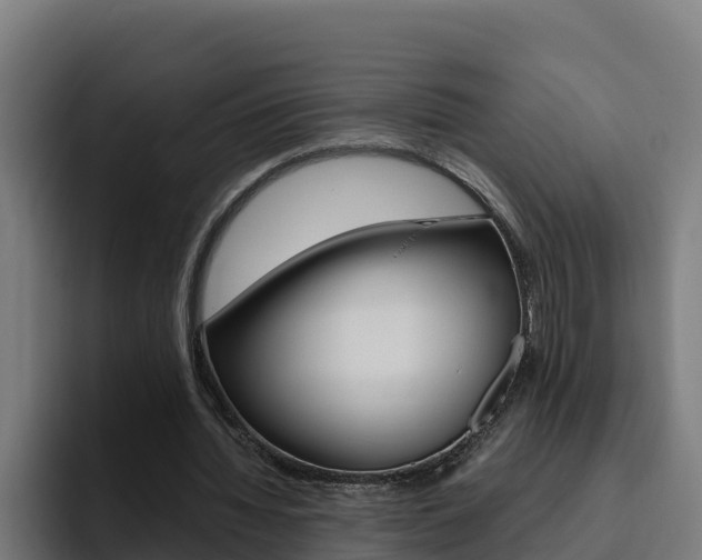 X0000094780436200711160853