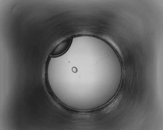 X0000094780437200711160853
