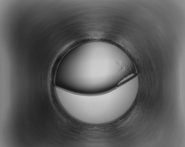 X0000094780440200711160853