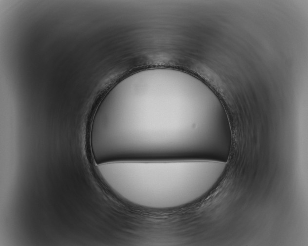 X0000094780442200711160854