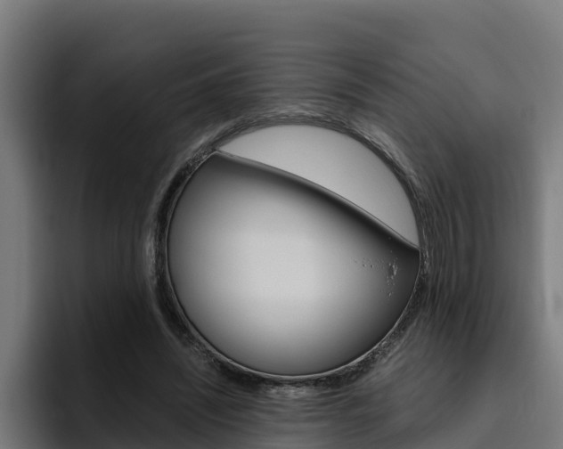 X0000094780444200711160854