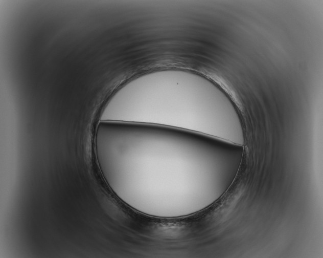 X0000094780445200711160854