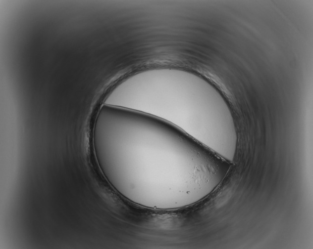 X0000094780446200711160854