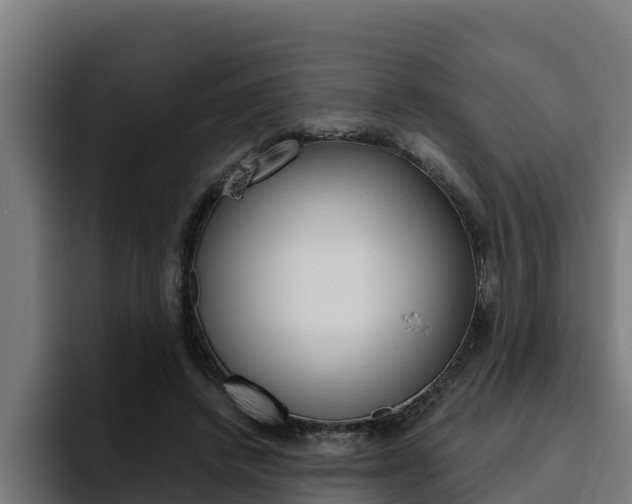 X0000094780448200711160854