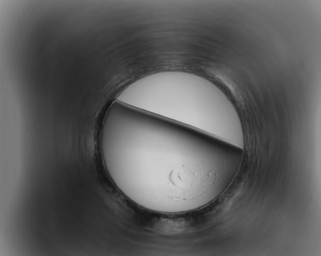 X0000094780455200711160854