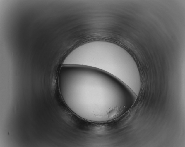 X0000094780456200711160854