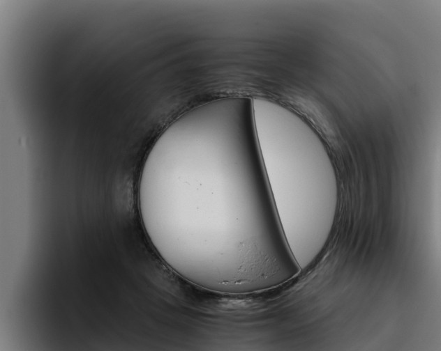 X0000094780457200711160854