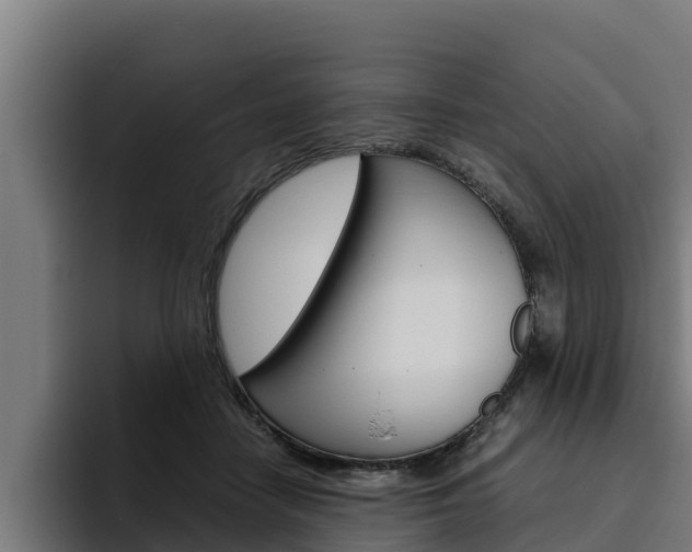 X0000094780458200711160854