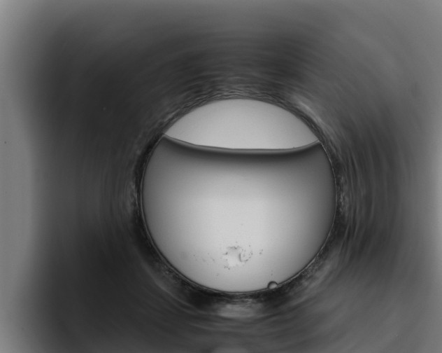 X0000094780459200711160854