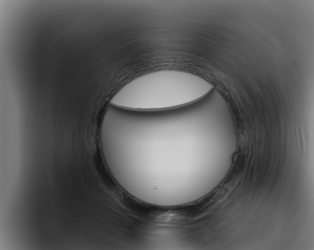 X0000094780460200711160854