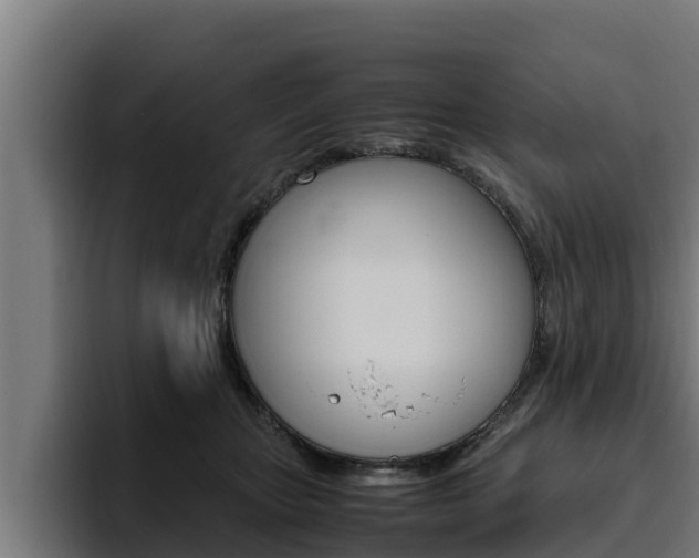 X0000094780467200711160854