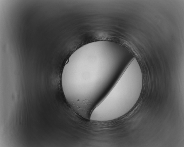 X0000094780473200711160854