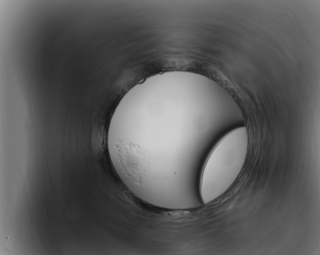 X0000094780474200711160854