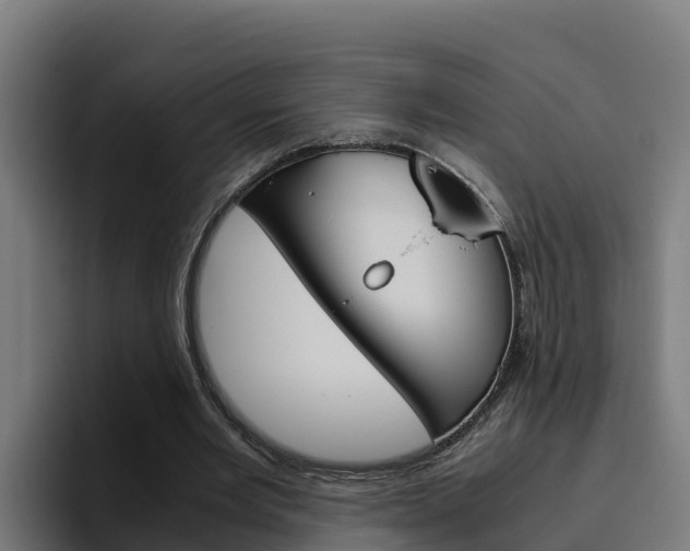 X0000094780485200711160853