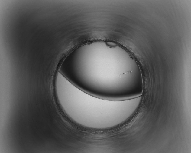 X0000094780489200711160853