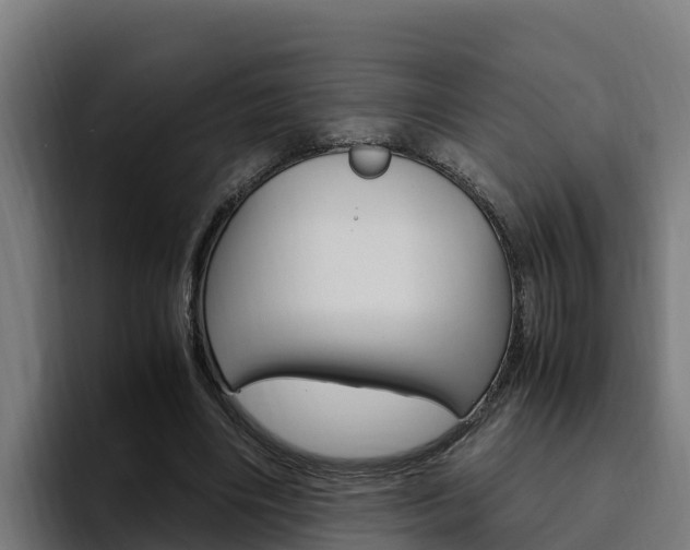 X0000094780490200711160853