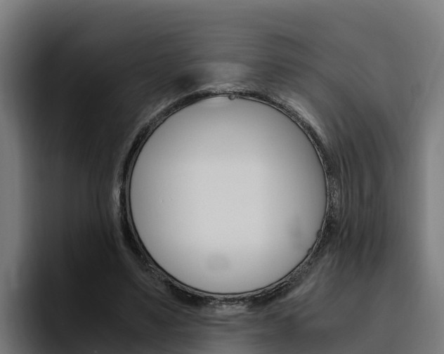 X0000094780491200711160853