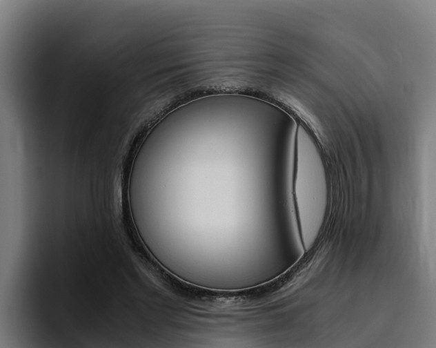 X0000094780493200711160853
