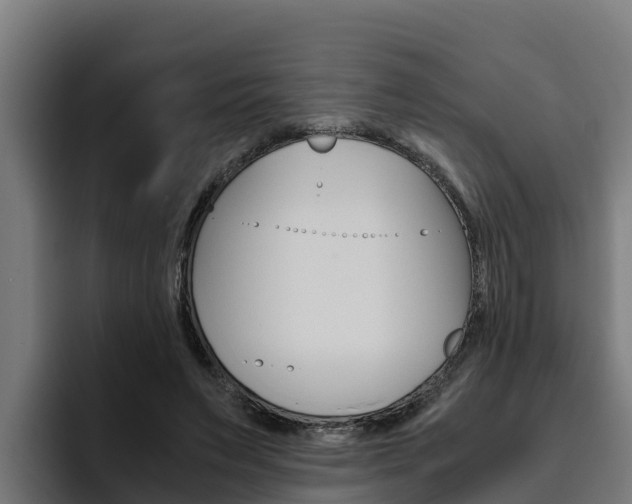 X0000094780495200711160853