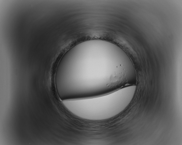 X0000094780496200711160853