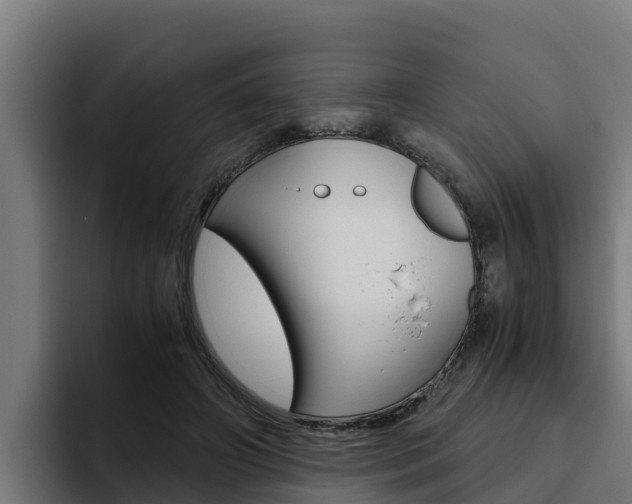 X0000094780498200711160853