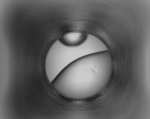 X0000094780499200711160853