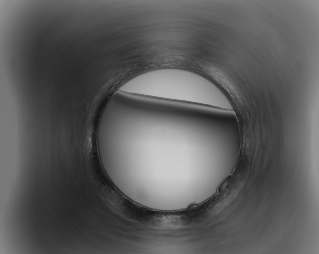 X0000094780501200711160853