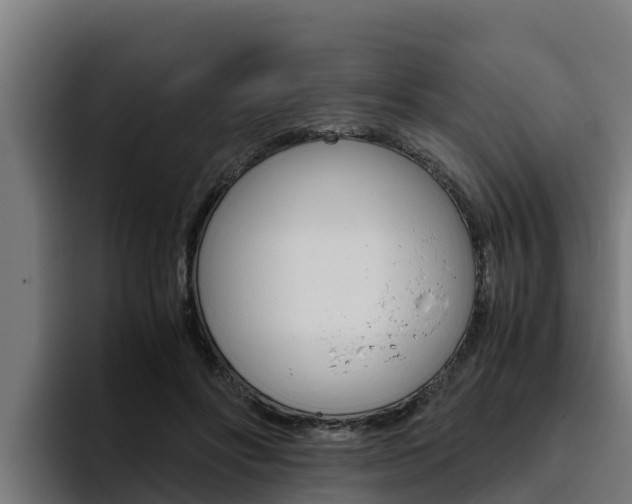 X0000094780502200711160853