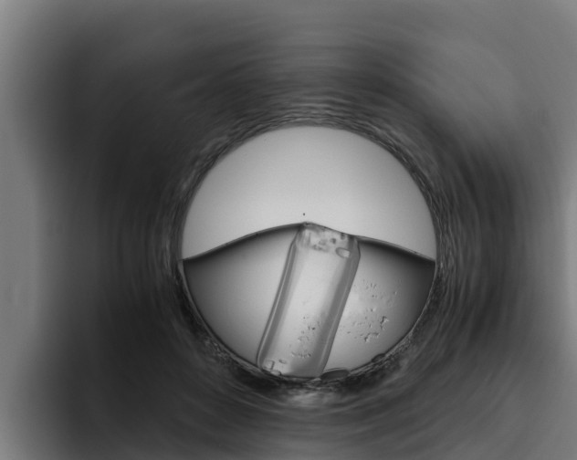 X0000094780504200711160853