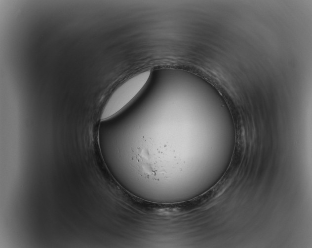 X0000094780508200711160853