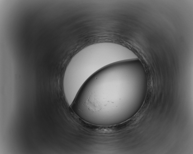 X0000094780512200711160853