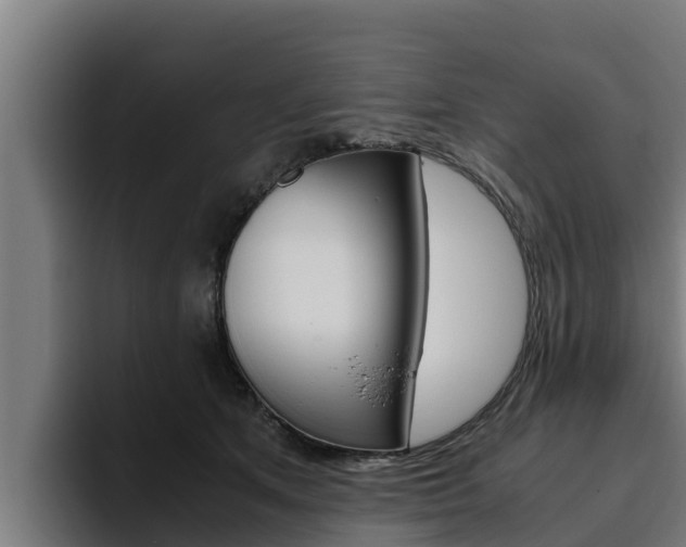 X0000094780513200711160853
