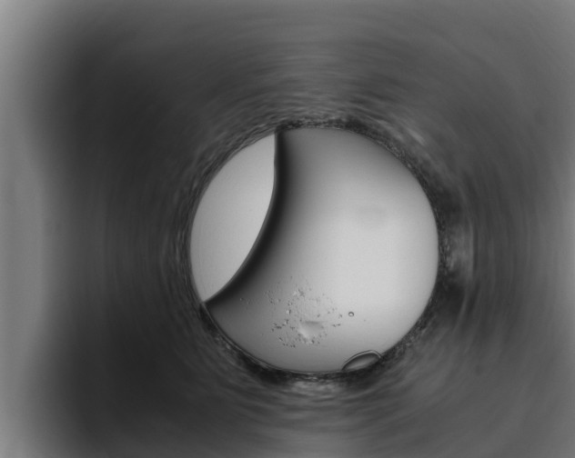 X0000094780515200711160853