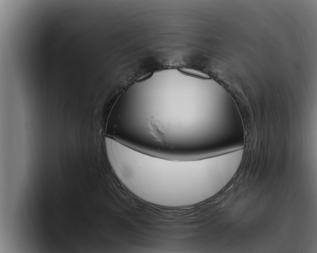 X0000094780521200711160853