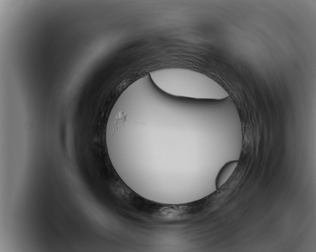 X0000094780526200711160853