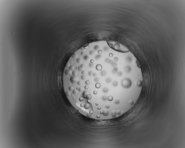 X0000094780527200711160853