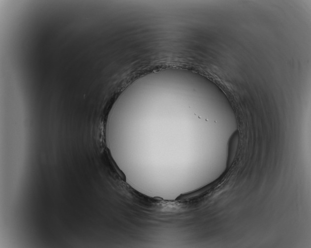 X0000094780528200711160853